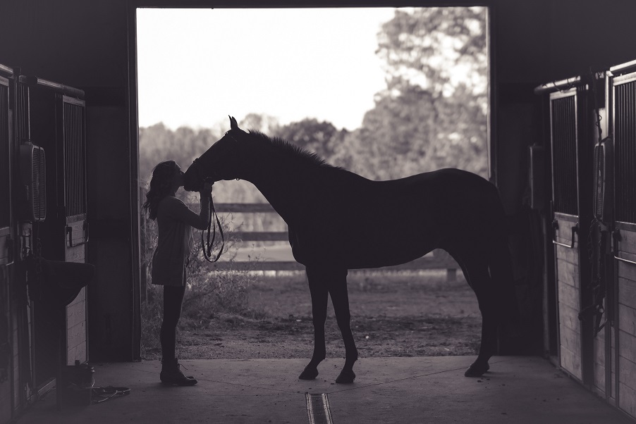 Equestrian
